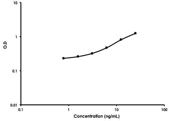 Human Neuropilin-1 ELISA Kit(AB213813)