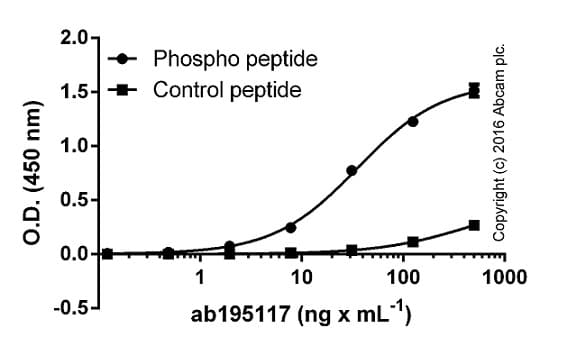 Anti-RIP3 (phospho S232) antibody [EPR9516(N)-25] - BSA and Azide free(AB240336)