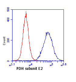 Anti-Pyruvate Dehydrogenase E2 antibody [15D3G9C11](AB110332)
