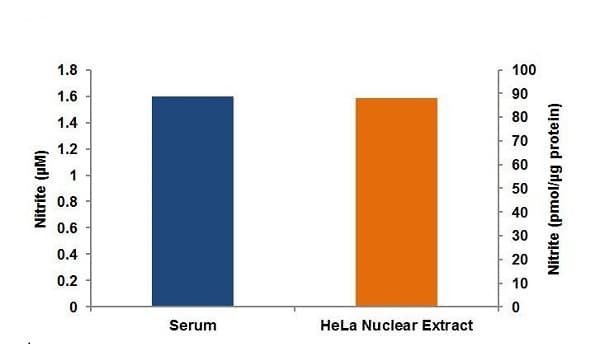 Griess reagent(AB234044)