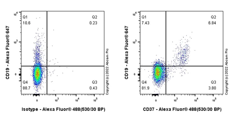 Anti-CD37 antibody [EPR25397-149] (BSA and Azide free)(AB300412)