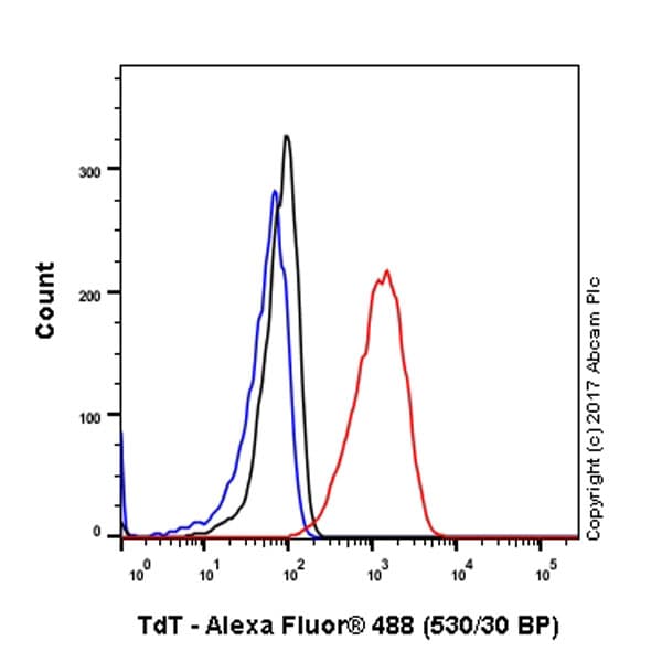 Anti-TdT antibody [EPR2976Y] - BSA and Azide free(AB232378)