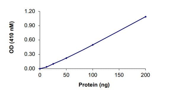 Recombinant human PTP1B protein (Active)(AB268897)