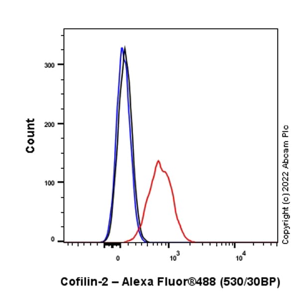 Anti-Cofilin 2 antibody [EPR24519-7](AB300128)