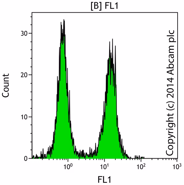 Tunel Assay Kit Fitc Ab66108 Functional Studies Img11340