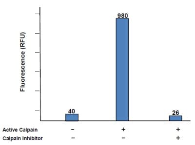 Calpain Activity Assay Kit(ab65308)