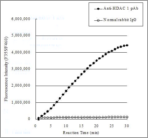 Histone Deacetylase (HDAC) Activity Assay Kit (Fluorometric)(AB156064)