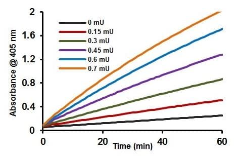 Carbonic Anhydrase (CA) Activity Assay Kit (Colorimetric)(AB284550)