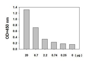 STAT3 (pY705) ELISA Kit(AB126458)