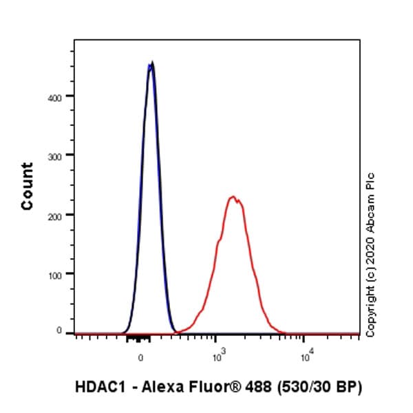 Anti-HDAC1 antibody [EPR23847-170](AB280198)
