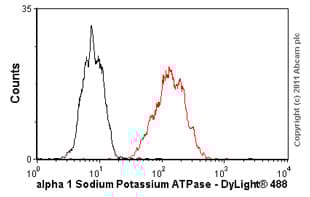 Anti-alpha 1 Sodium Potassium ATPase antibody [M8-P1-A3](AB2872)
