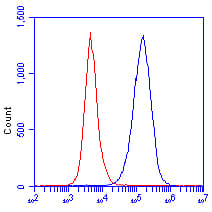 Nucleolin Antibody 364 5 Ab136649  Flow Cytometry Img85278