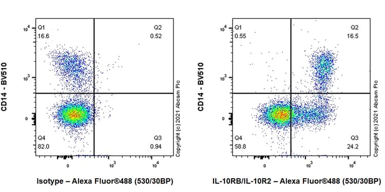 Il 10rb Il 10r2 Antibody Epr24691 11 Bsa And Azide Free Ab280572  Flow Cytometry Img66538
