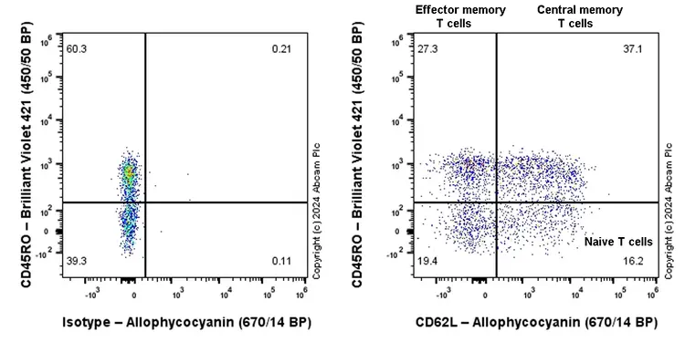 APC Rabbit IgG, monoclonal [EPR25A] - Isotype Control(AB232814)