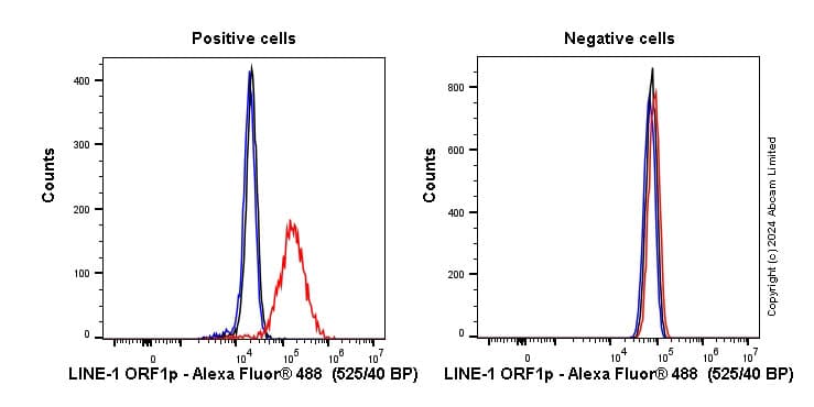 Anti-LINE-1 ORF1p antibody [EPR21844-108](AB216324)
