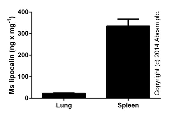 Mouse Lipocalin-2 ELISA Kit (NGAL)(AB119601)
