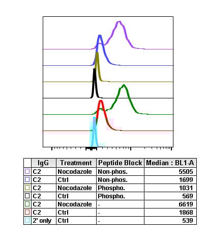 Anti-PLK1 (phospho T210) antibody [PLK1T210-C2](AB278768)