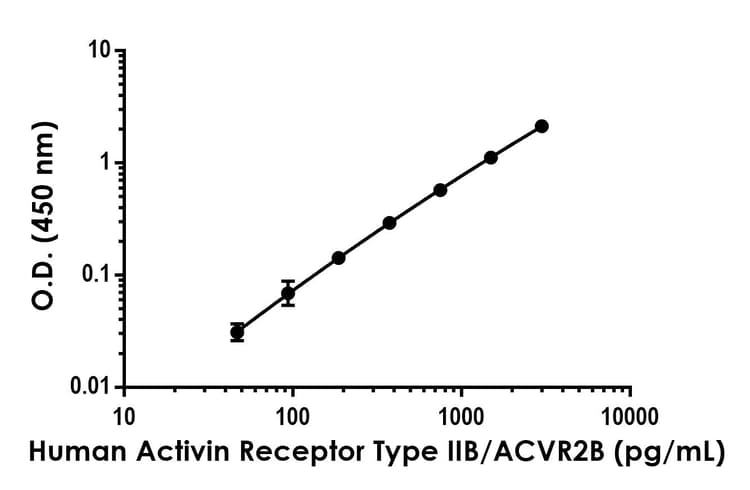 Anti-Activin Receptor Type IIB/ACVR2B antibody [EPR24659-1] - BSA and Azide free (Detector)(AB290687)