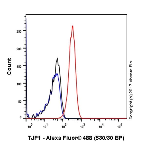 Anti-ZO1 tight junction protein antibody [EPR19945-296](AB221547)