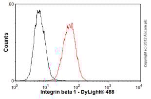 Anti-Integrin beta 1 antibody [P5D2](ab24693)