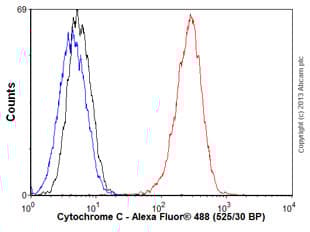 Anti-Cytochrome C antibody [7H8.2C12](AB13575)