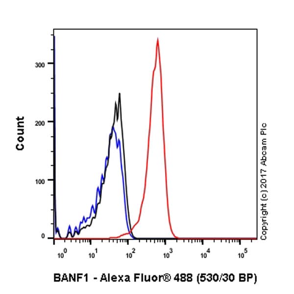 Anti-BANF1/BAF antibody [EPR7668](AB129184)