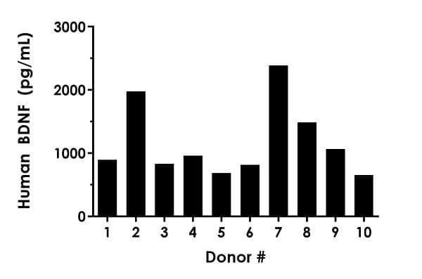 Human BDNF ELISA Kit, Fluorescent(AB229395)