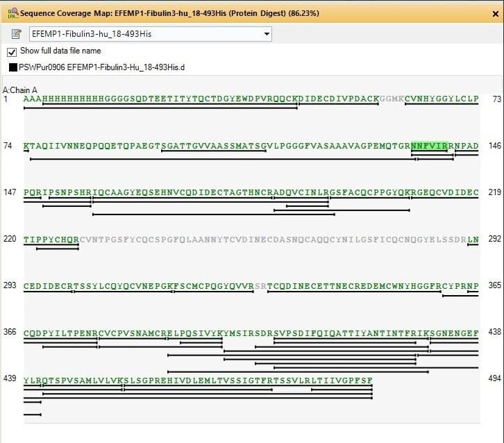 Ab318255  Mass Spectrometry Img432548