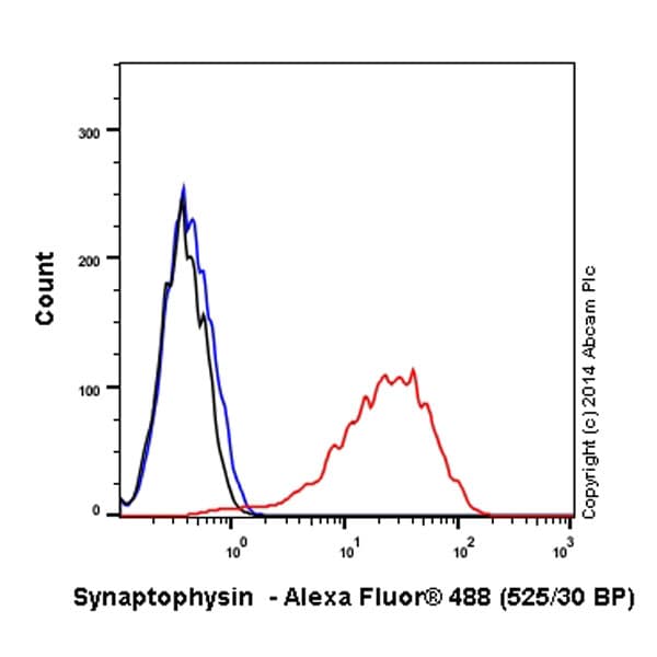 Alexa Fluor® 488 Anti-Synaptophysin antibody [YE269](AB196379)