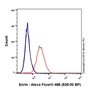 Alexa Fluor 488 Ezrin Antibody Ep886y Ab198520  Flow Cytometry Intracellular Img51096