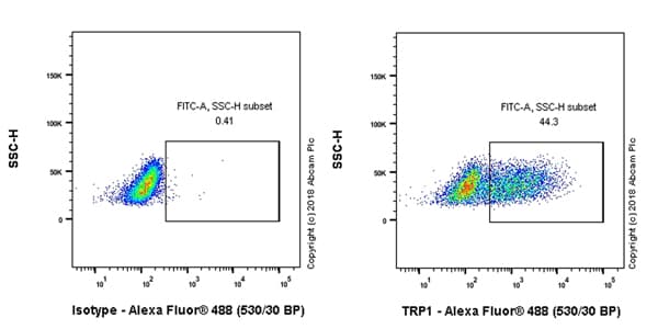 Anti-TRP1 antibody [EPR21960](AB235447)