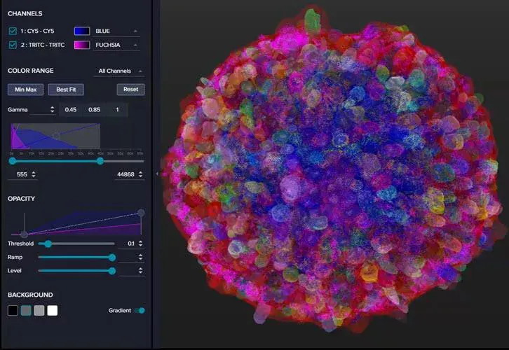 Spheroid Mask In 3d Viewer In In Carta Image Analysis Software