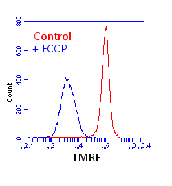 TMRE-Mitochondrial Membrane Potential Assay Kit(AB113852)