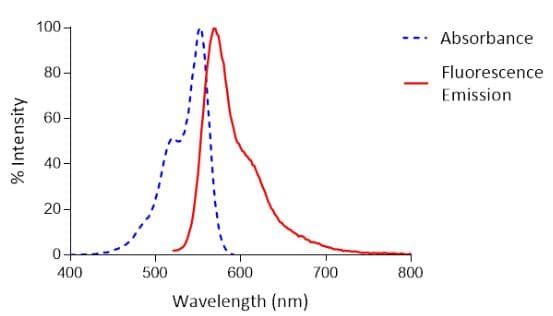 Alexa Fluor® 555 Conjugation Kit (Fast) - Lightning-Link®(AB269820)
