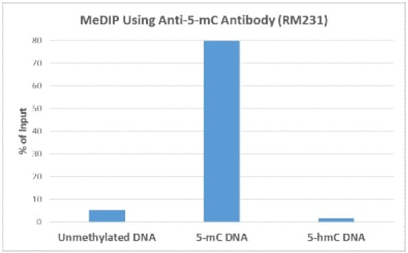 Anti-5-methylcytosine (5-mC) antibody [RM231](AB214727)