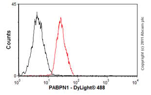 Pabpn1 Antibody Ep3000y Bsa And Azide Free Ab232513  Flow Cytometry Intracellular Img51054