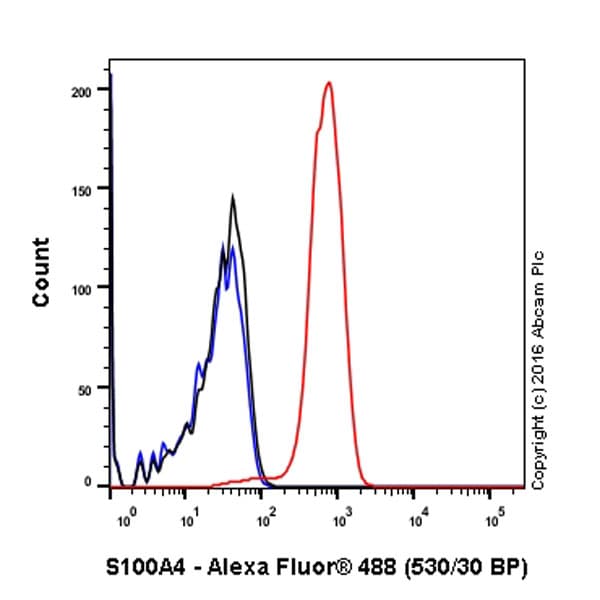 Anti-S100A4 antibody [EPR14639(2)](AB197896)