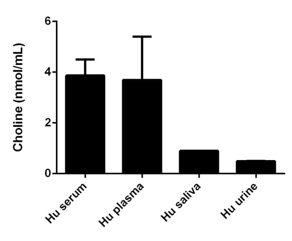 Choline/Acetylcholine Assay Kit(AB65345)