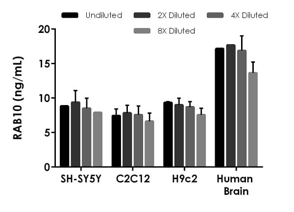 Rab10 ELISA Kit(ab255717)
