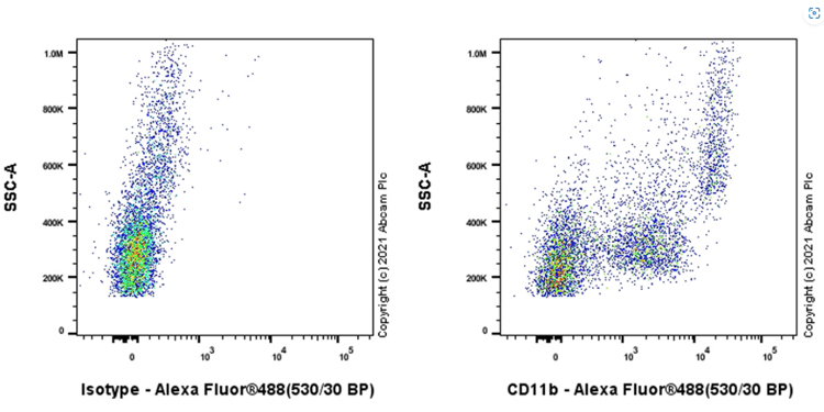 Anti-CD11b antibody [M1/70](AB8878)