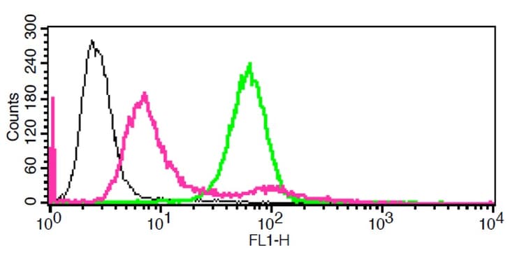 Lysosomal Intracellular Activity Assay Kit(ab234622)