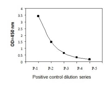 Phospho-IKB alpha (S32) and Total IKB alpha ELISA Kit(ab279828)