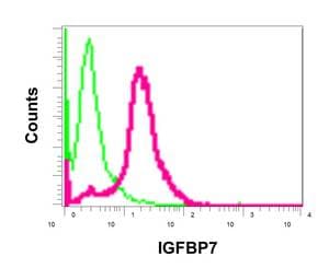 Anti-IGFBP7 antibody [EPR11912(B)](AB171085)
