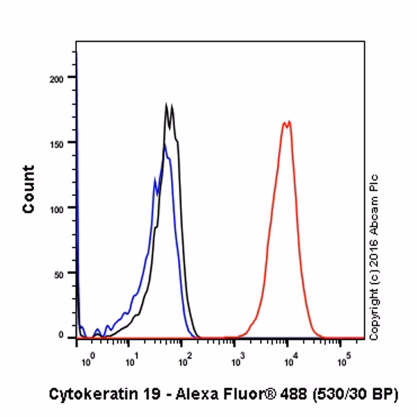 Cytokeratin 19 Antibody Ep1580y Cytoskeleton Marker Ab52625 Flow Cytometry Intracellular Img26966