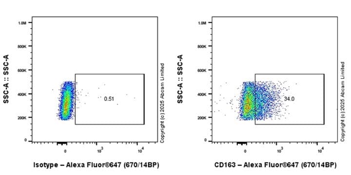 Anti-CD163 antibody [EPR19518] - BSA and Azide free(AB213612)