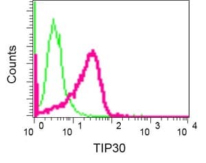 Tip30 Antibody Epr13185 Ab181378  Flow Cytometry Intracellular Img59164