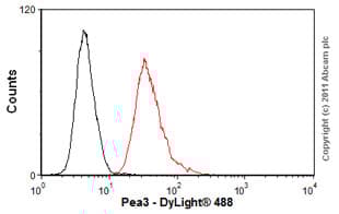 Anti-Pea3 antibody [1A2G3](ab70425)