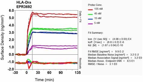 Anti-HLA-DR antibody [EPR3692] - BSA and Azide free(AB209968)