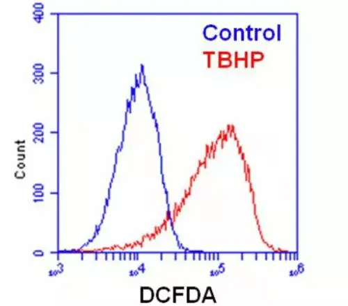 Dcfda H2dcfda Cellular Ros Assay Kit Ab113851 Flow Cytometry Img414012