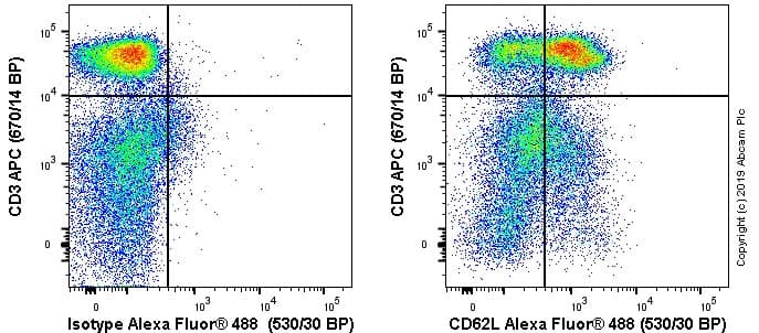 Anti-CD62L antibody [OX85](AB238473)